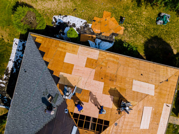 Best Roof Maintenance Services  in Robinwood, MD